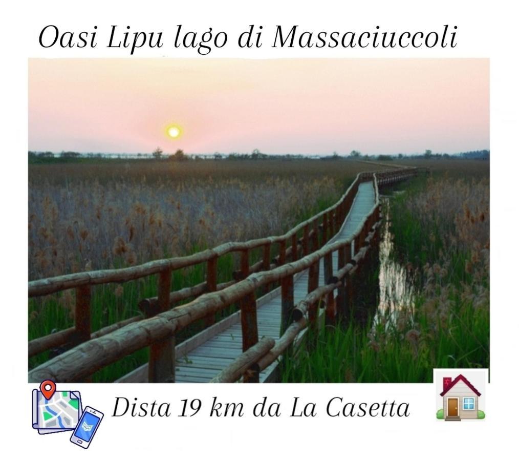 La Casetta Camaiore Extérieur photo